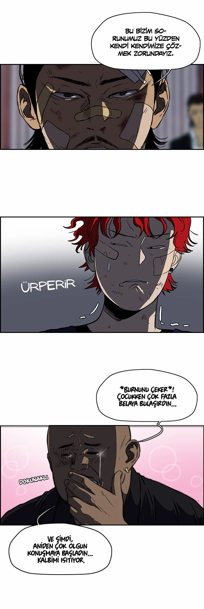 Read Wind Breaker TR Manga Online