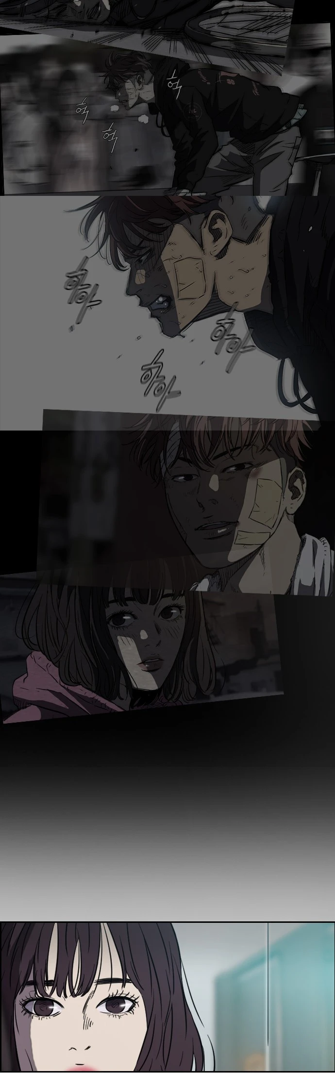 Read Wind Breaker TR Manga Online