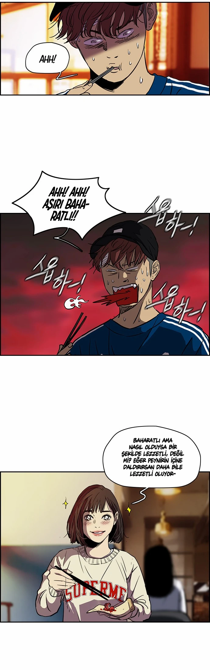 Read Wind Breaker TR Manga Online