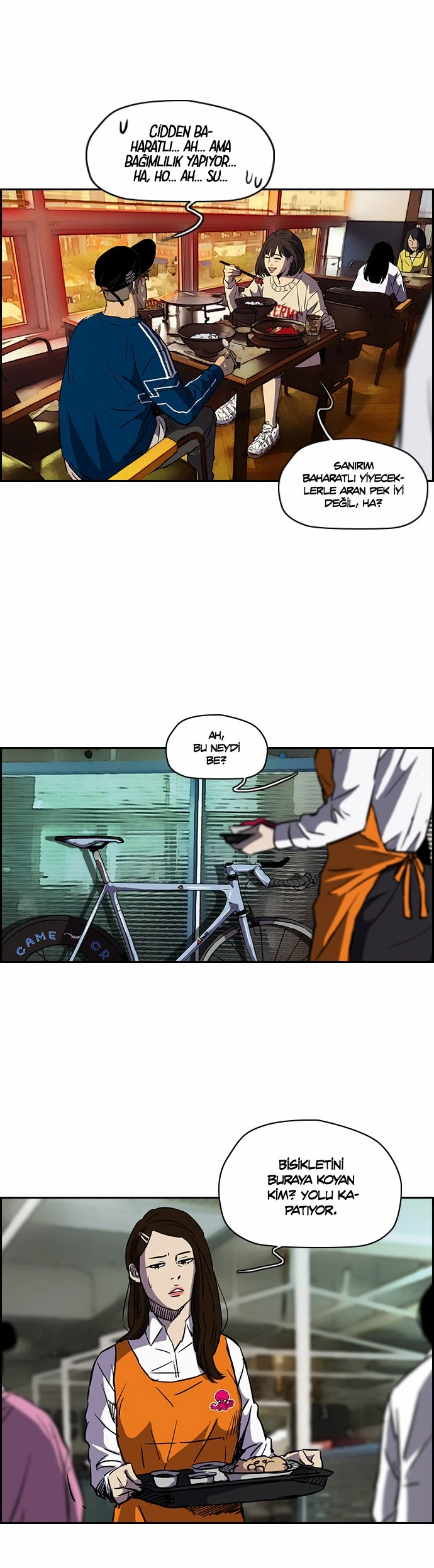 Read Wind Breaker TR Manga Online