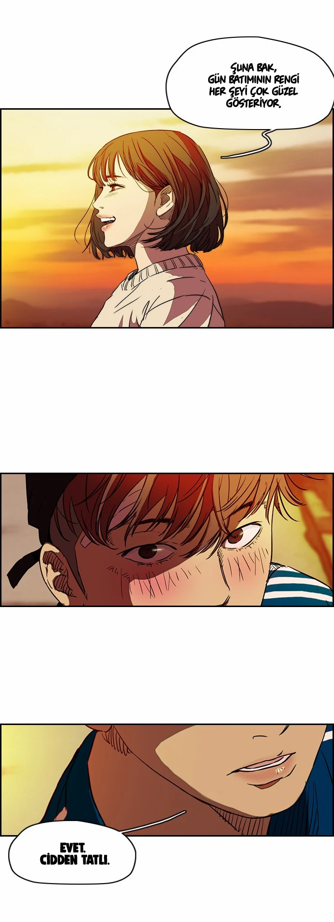 Read Wind Breaker TR Manga Online