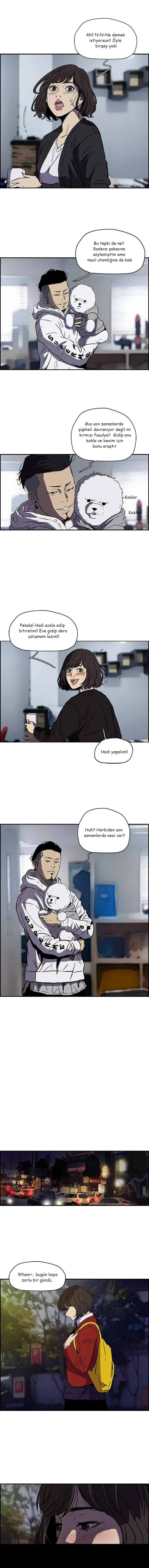 Read Wind Breaker TR Manga Online