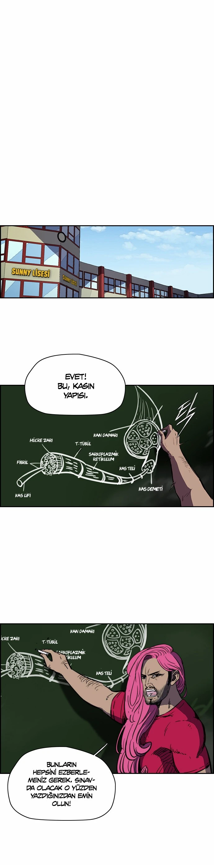 Read Wind Breaker TR Manga Online