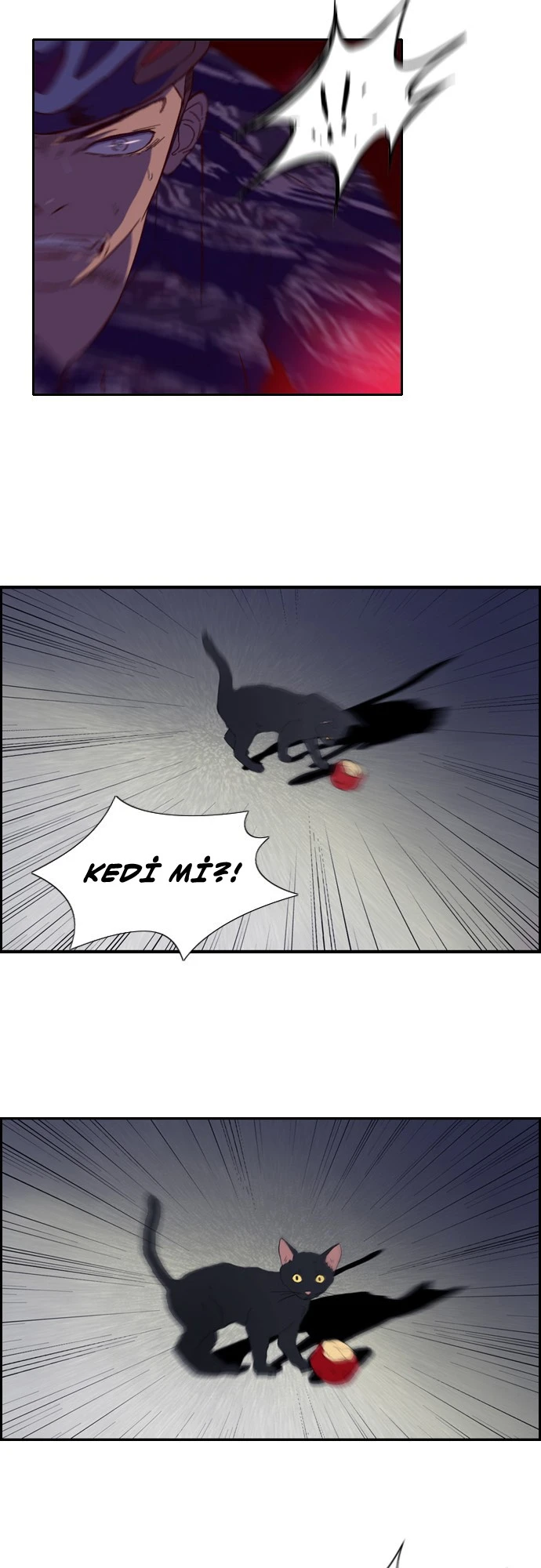 Read Wind Breaker TR Manga Online