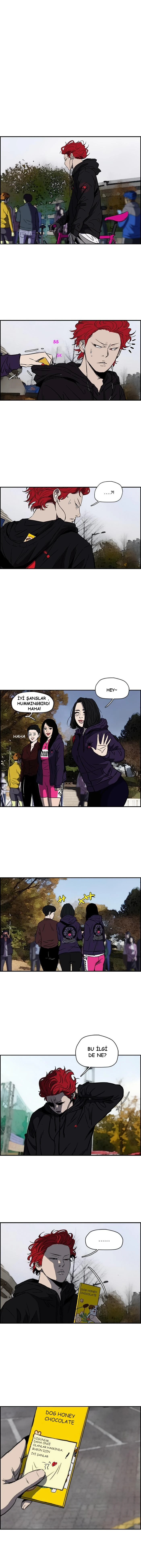 Read Wind Breaker TR Manga Online