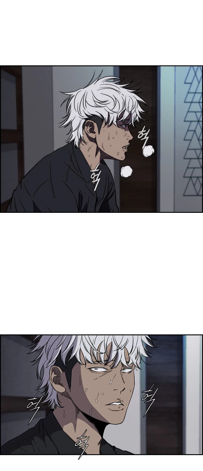 Read Wind Breaker TR Manga Online