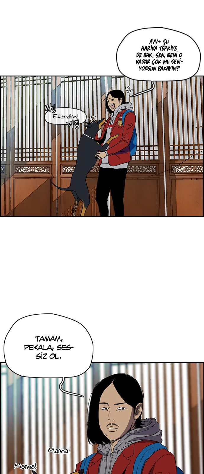 Read Wind Breaker TR Manga Online