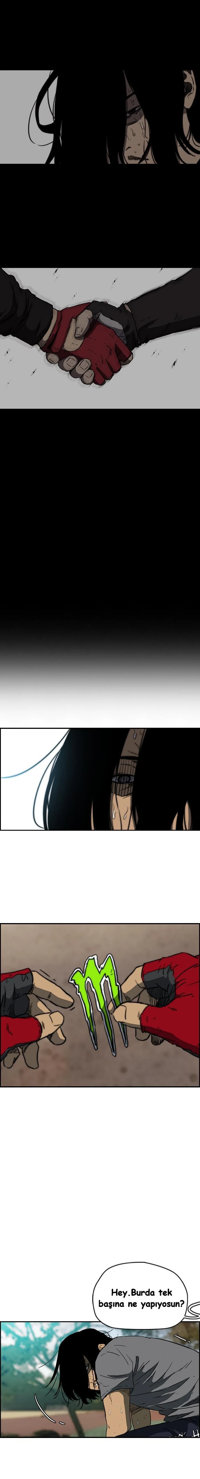 Read Wind Breaker TR Manga Online