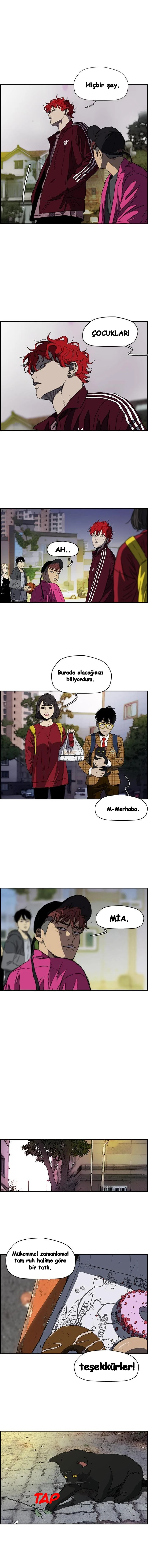 Read Wind Breaker TR Manga Online