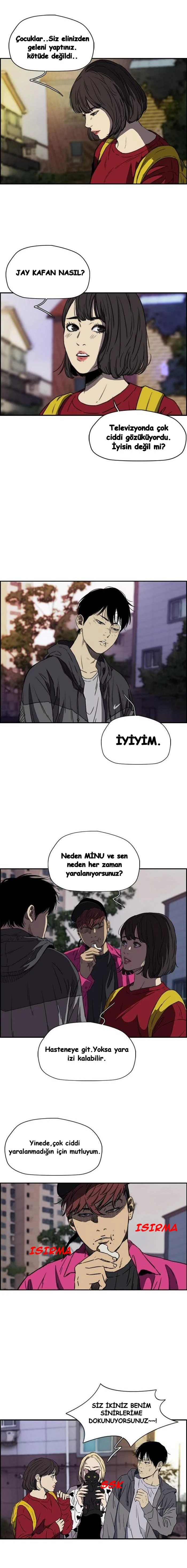 Read Wind Breaker TR Manga Online