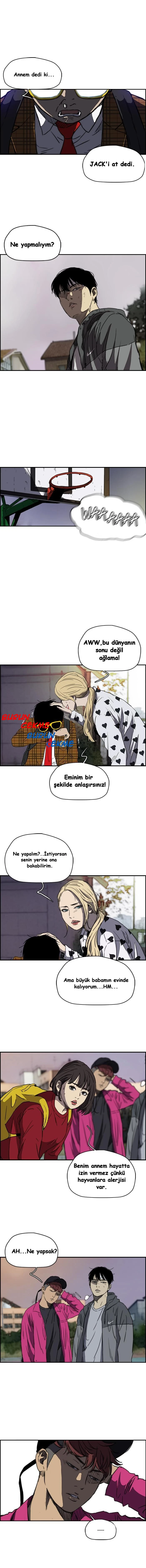 Read Wind Breaker TR Manga Online