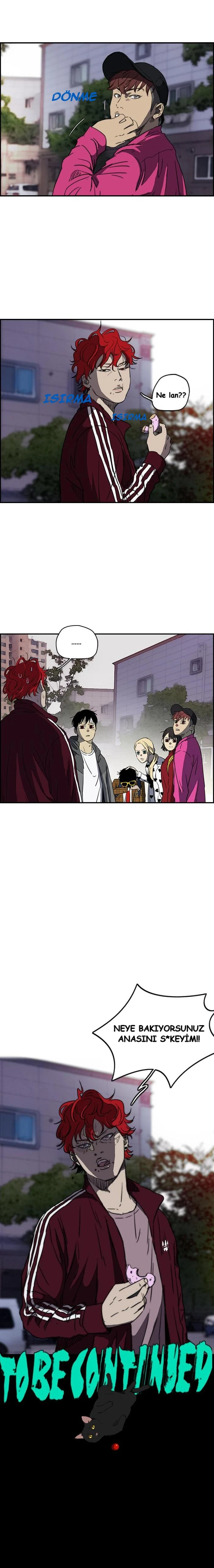 Read Wind Breaker TR Manga Online
