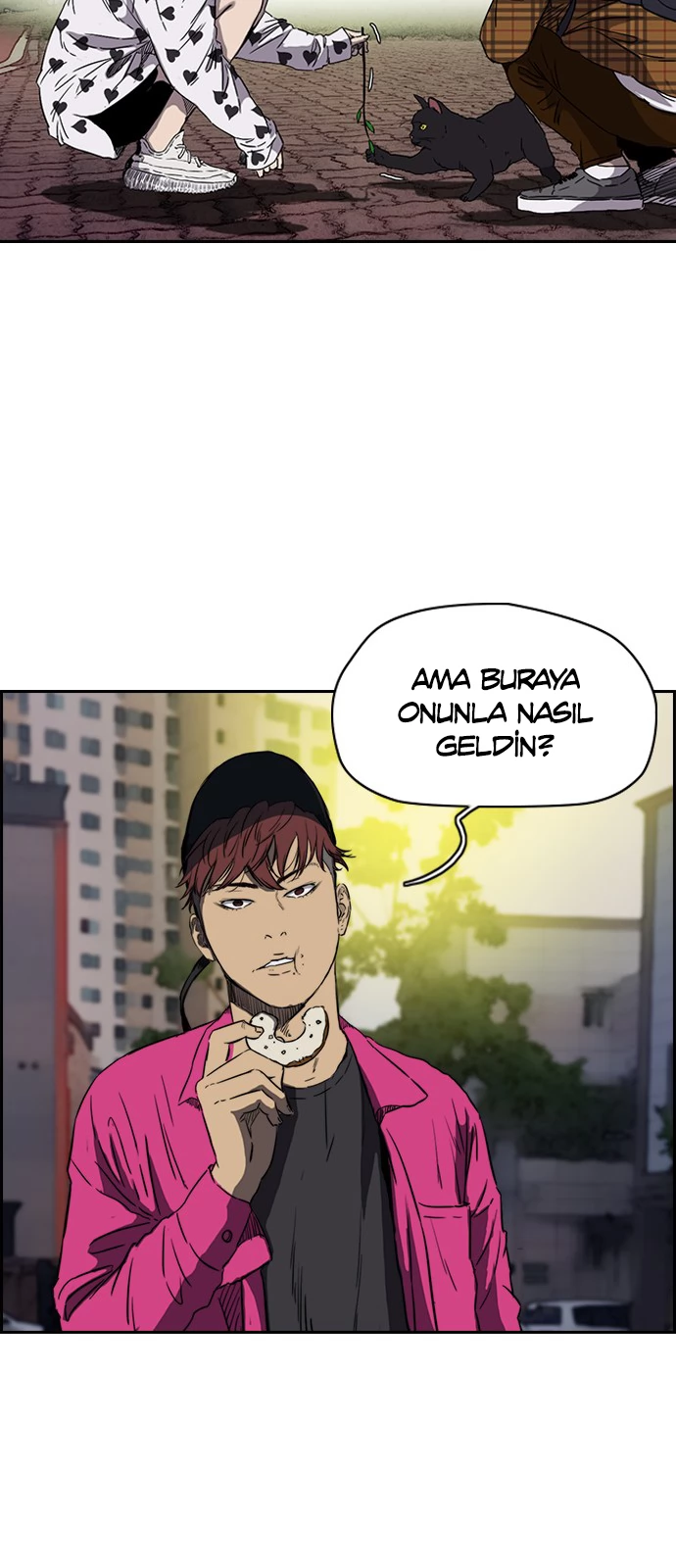 Read Wind Breaker TR Manga Online