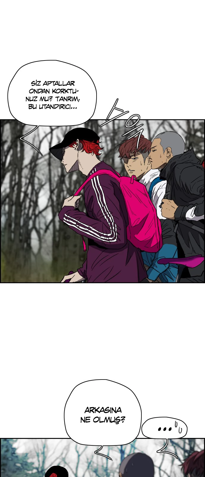 Read Wind Breaker TR Manga Online