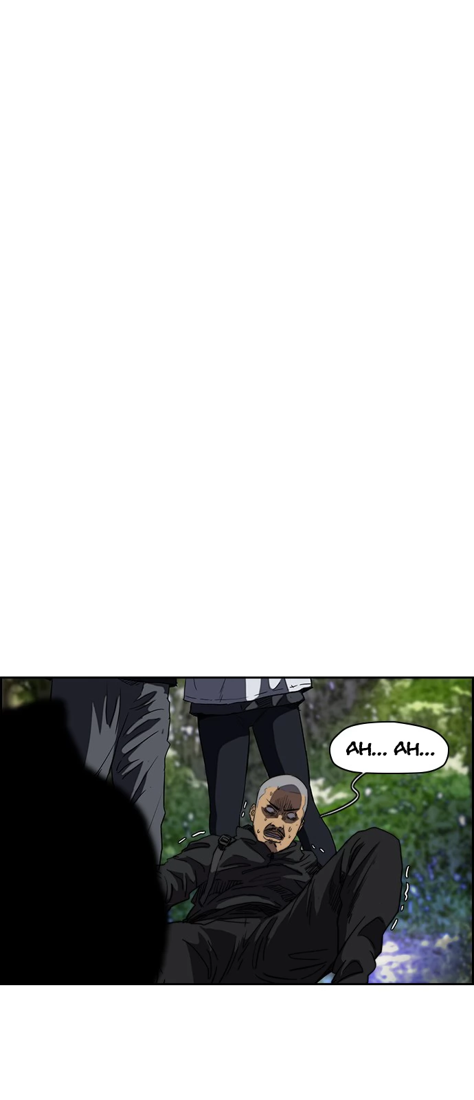 Read Wind Breaker TR Manga Online