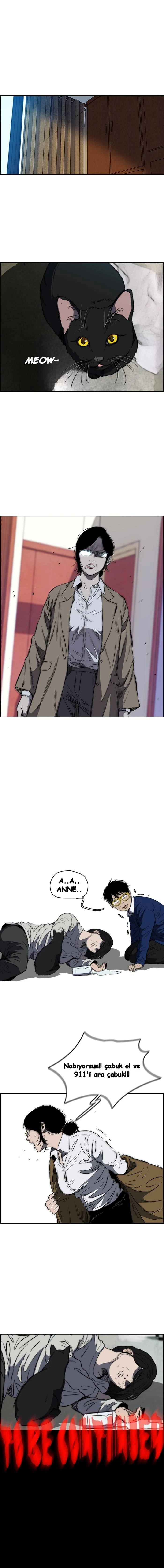 Read Wind Breaker TR Manga Online