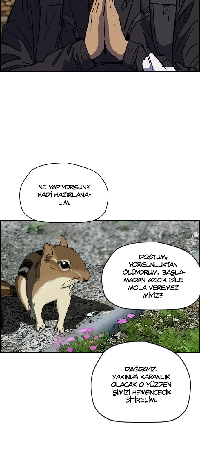 Read Wind Breaker TR Manga Online