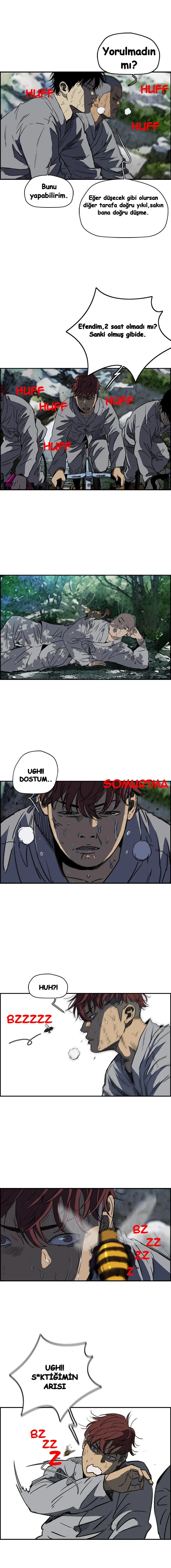 Read Wind Breaker TR Manga Online