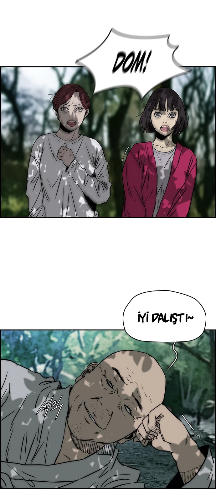 Read Wind Breaker TR Manga Online