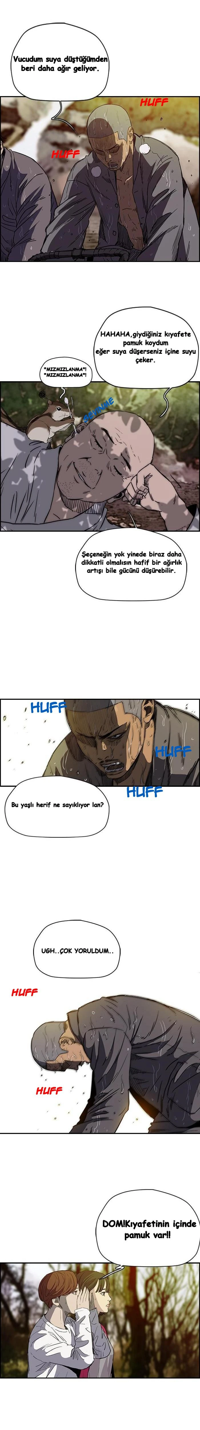 Read Wind Breaker TR Manga Online