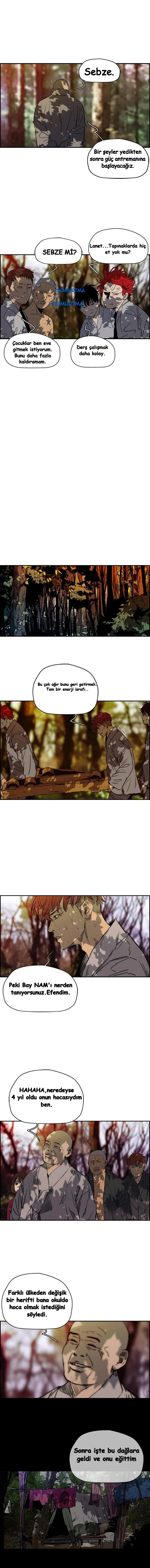 Read Wind Breaker TR Manga Online