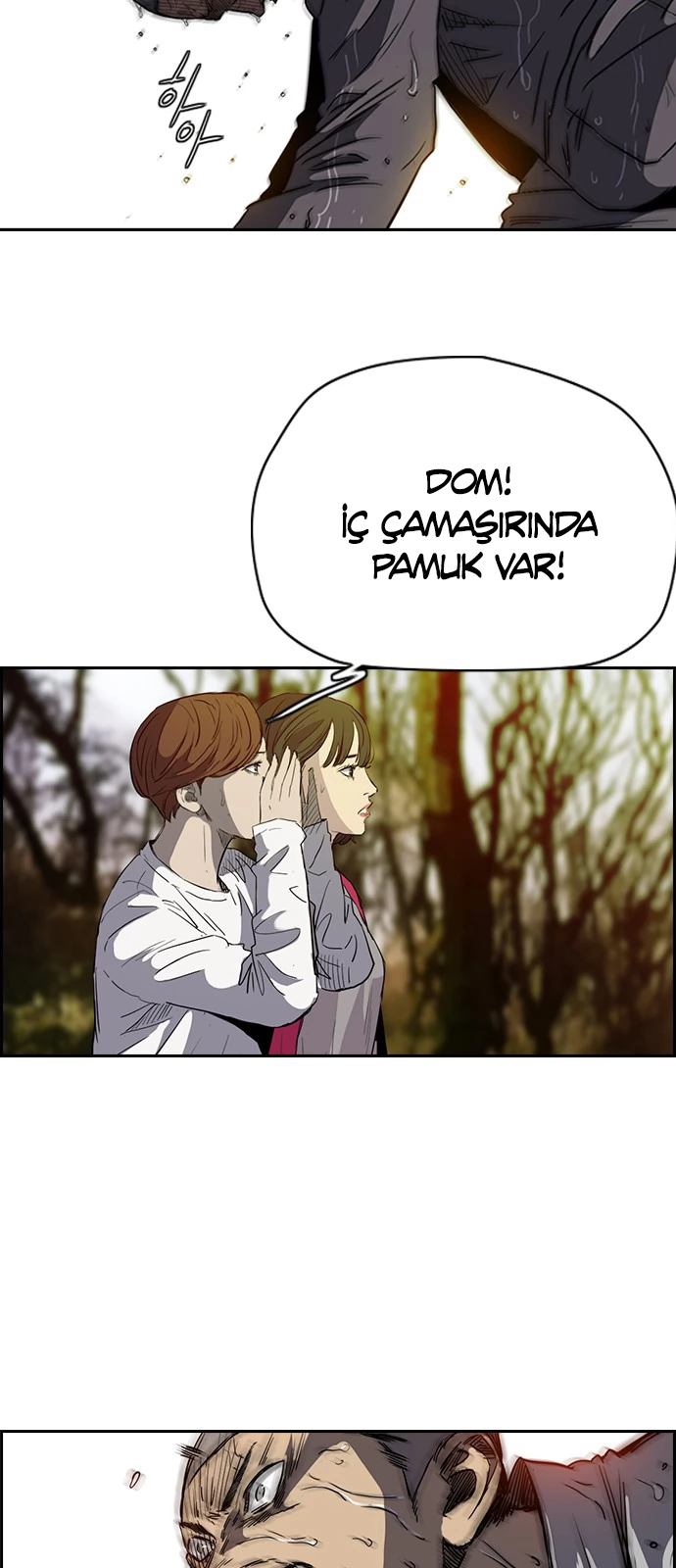 Read Wind Breaker TR Manga Online