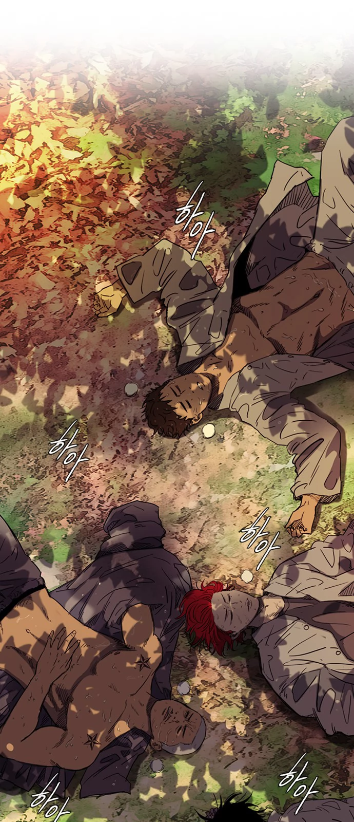 Read Wind Breaker TR Manga Online