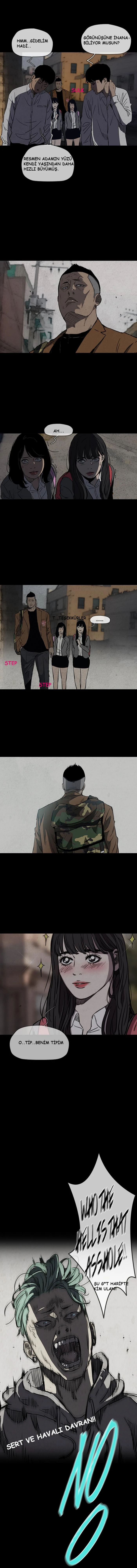 Read Wind Breaker TR Manga Online