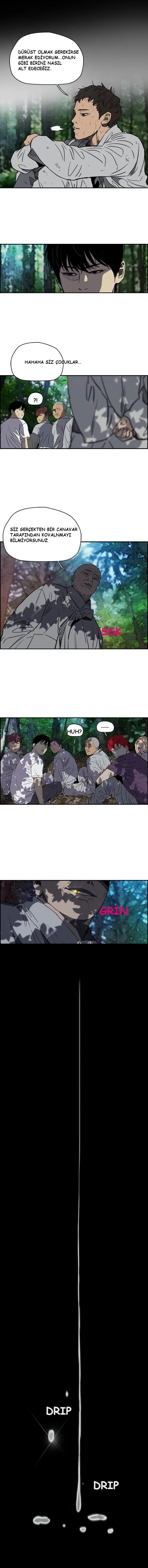 Read Wind Breaker TR Manga Online