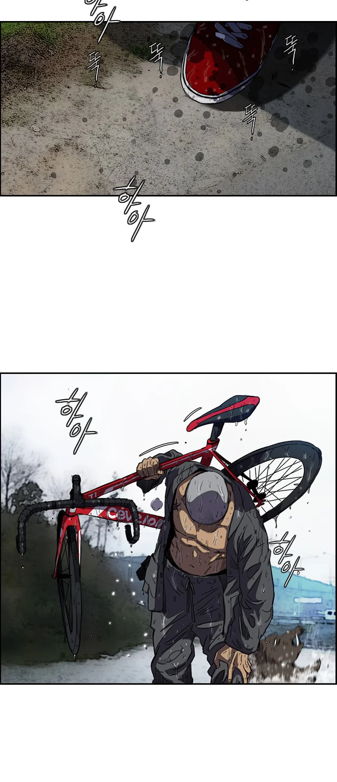 Read Wind Breaker TR Manga Online