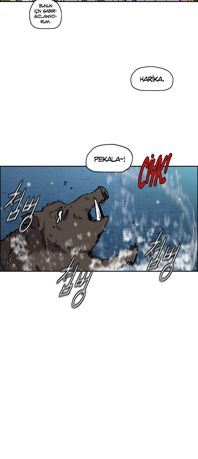 Read Wind Breaker TR Manga Online