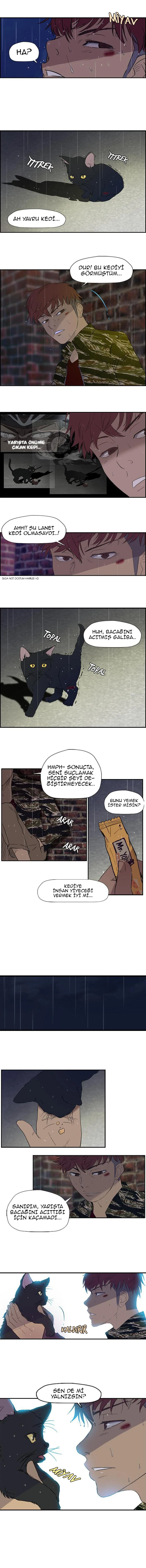 Read Wind Breaker TR Manga Online