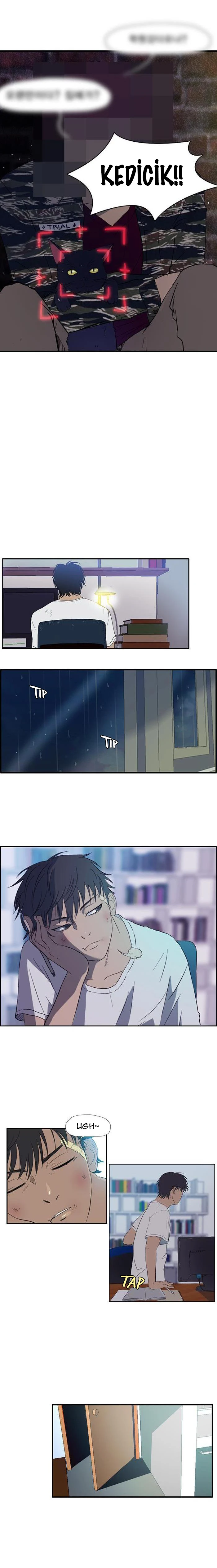 Read Wind Breaker TR Manga Online