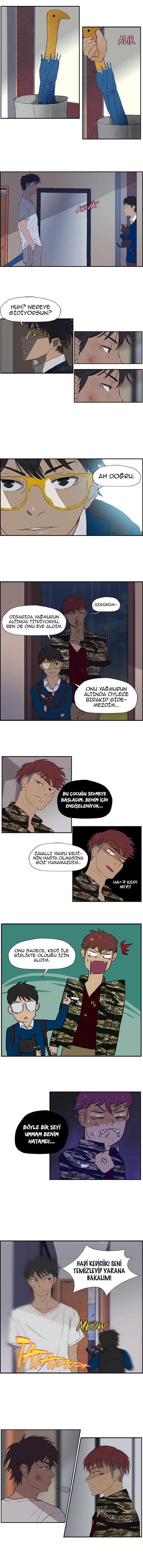 Read Wind Breaker TR Manga Online