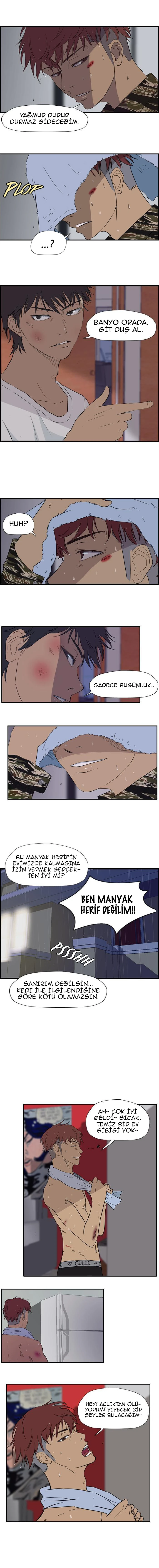 Read Wind Breaker TR Manga Online