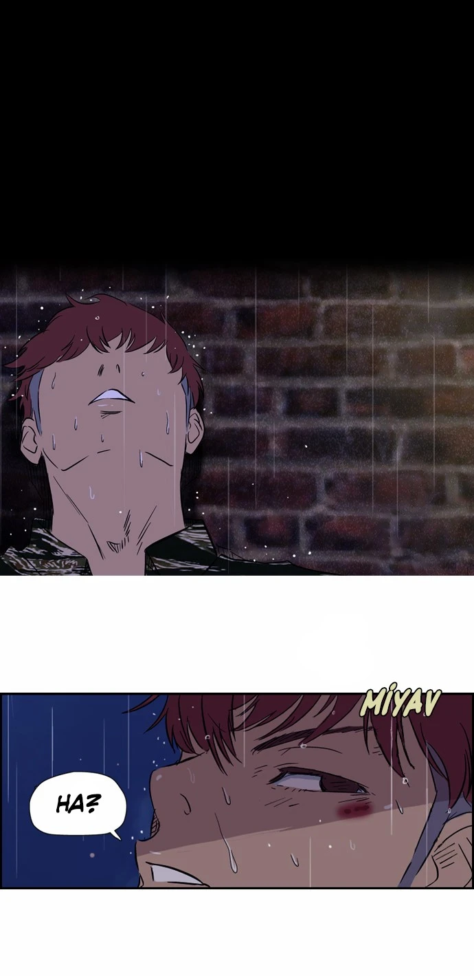 Read Wind Breaker TR Manga Online