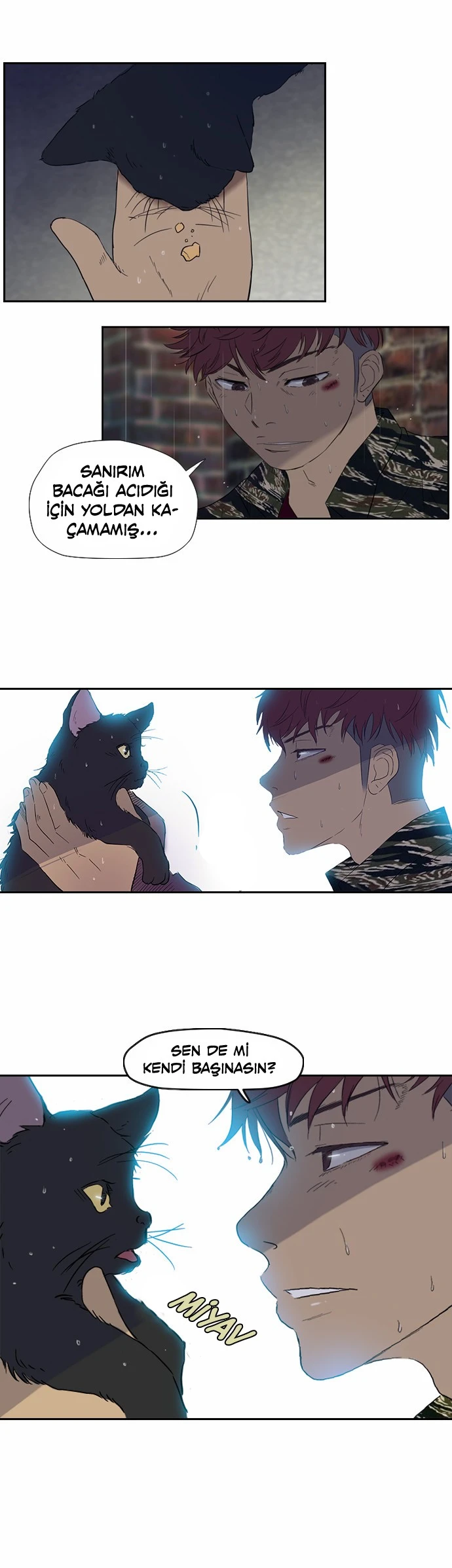 Read Wind Breaker TR Manga Online