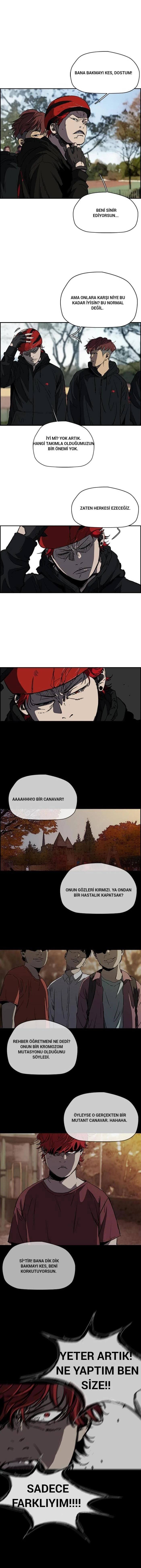 Read Wind Breaker TR Manga Online