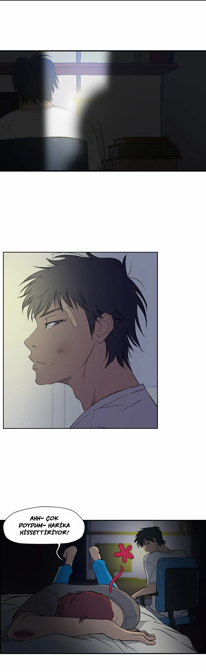 Read Wind Breaker TR Manga Online
