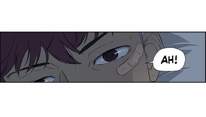 Read Wind Breaker TR Manga Online