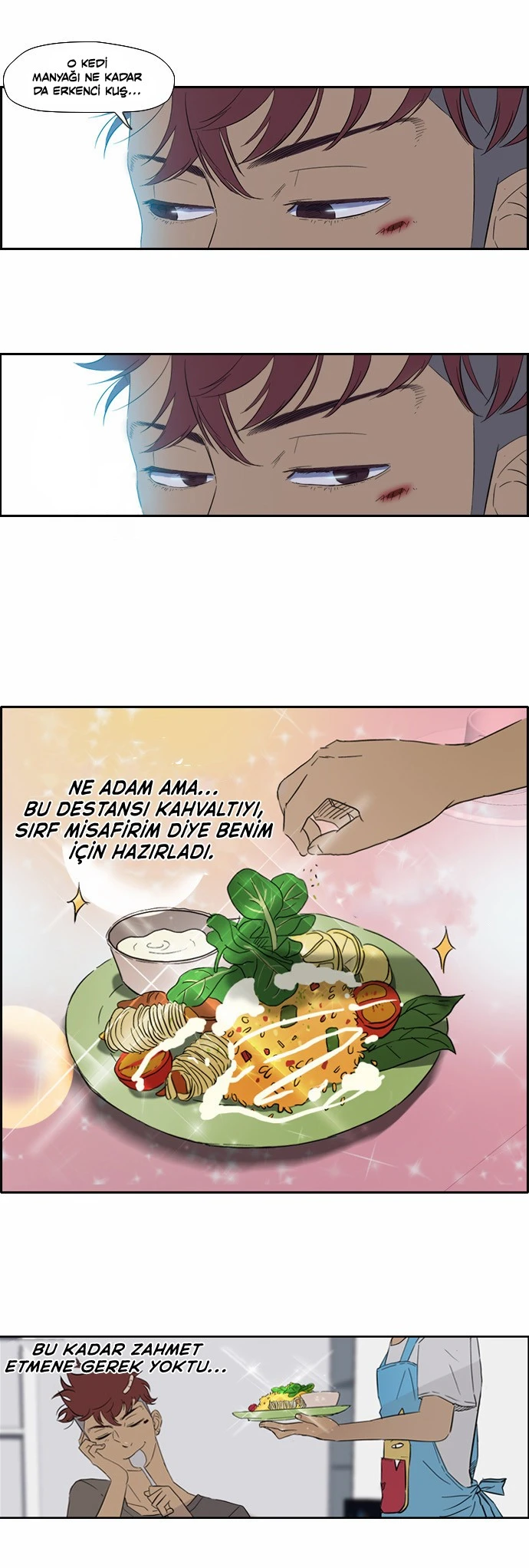 Read Wind Breaker TR Manga Online
