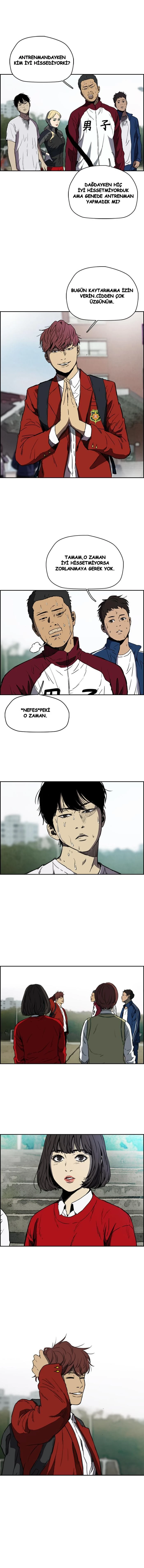 Read Wind Breaker TR Manga Online