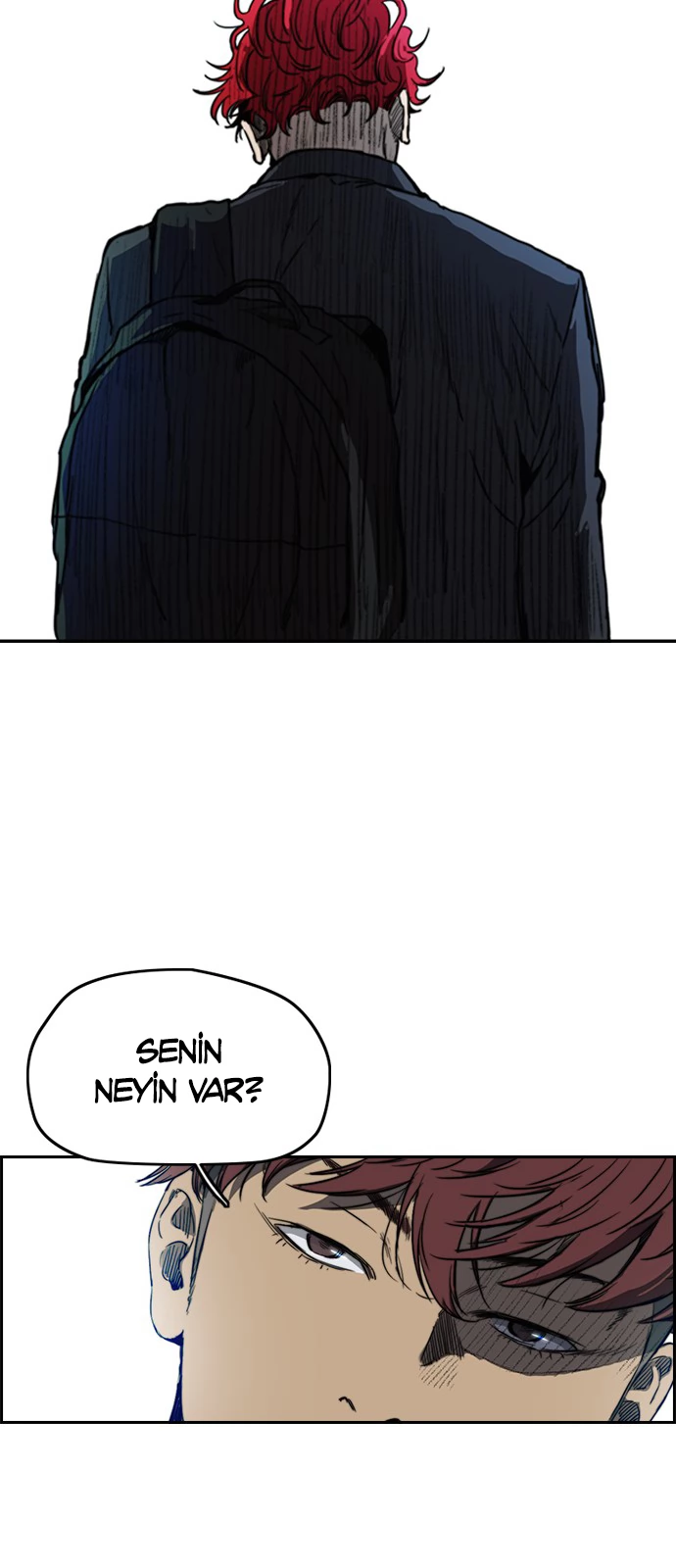 Read Wind Breaker TR Manga Online