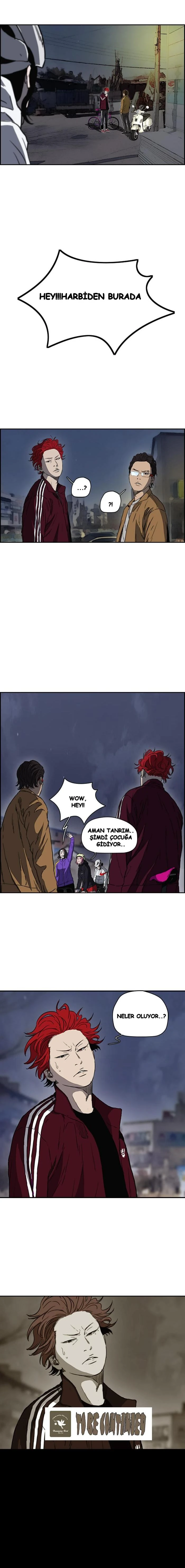 Read Wind Breaker TR Manga Online