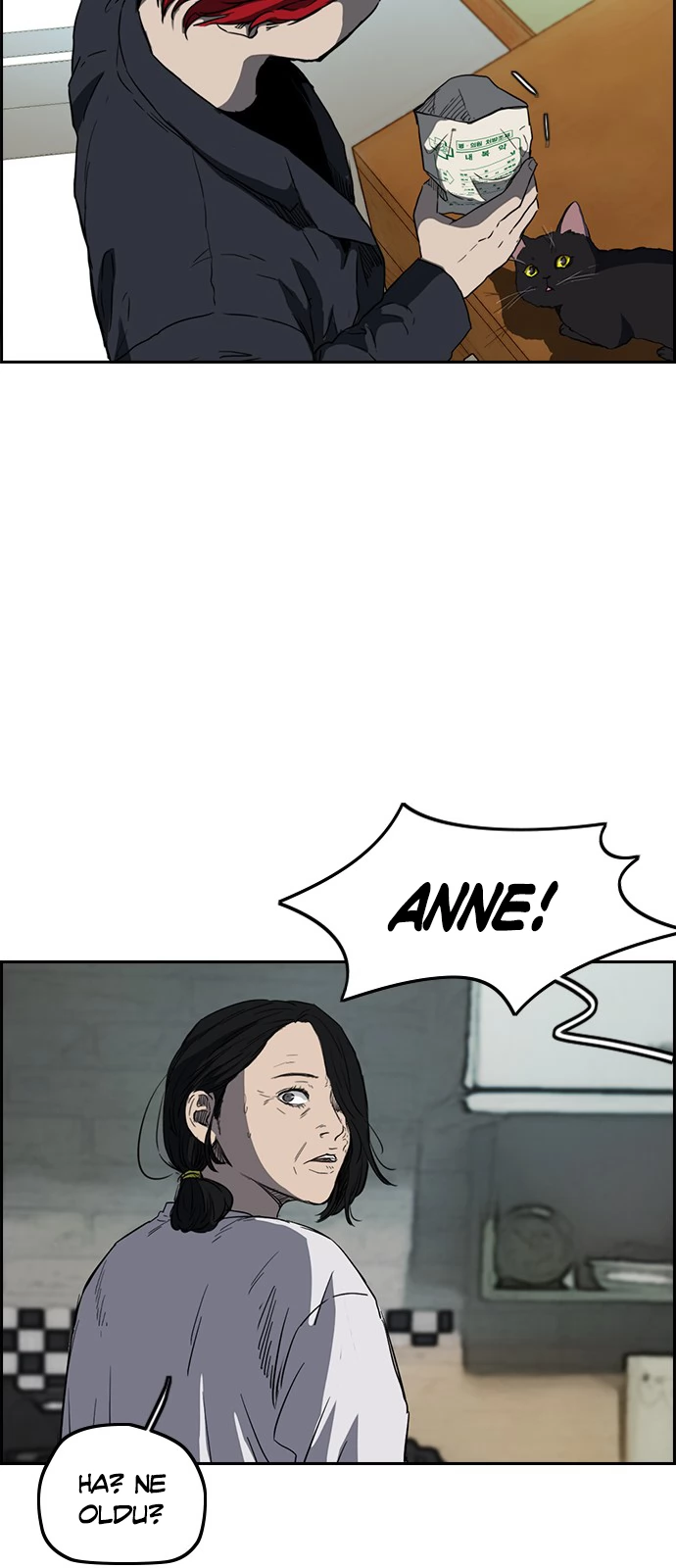 Read Wind Breaker TR Manga Online