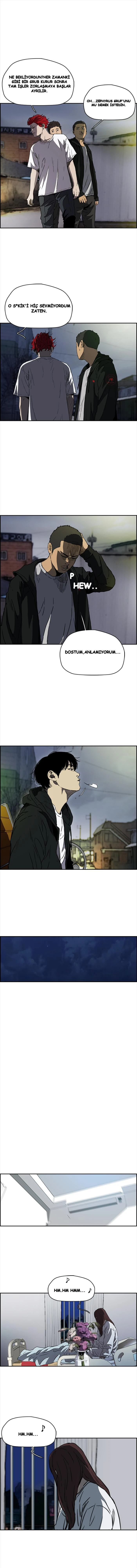 Read Wind Breaker TR Manga Online
