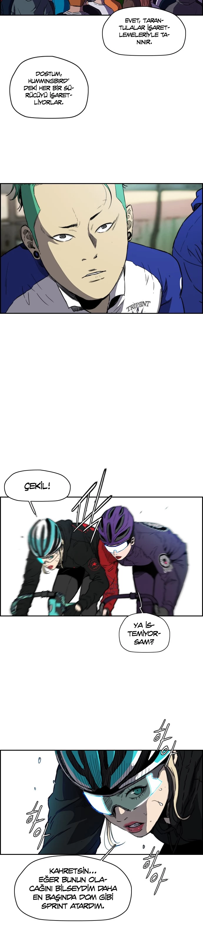 Read Wind Breaker TR Manga Online
