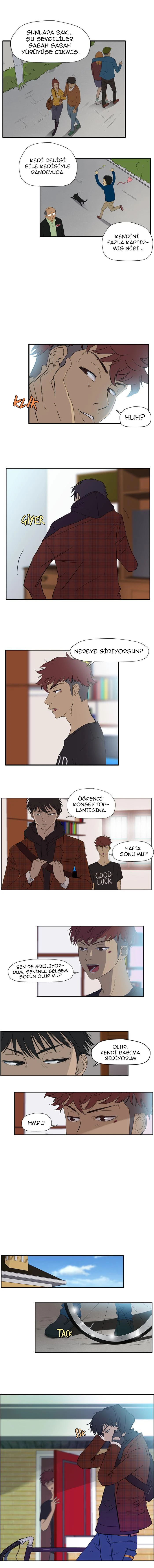 Read Wind Breaker TR Manga Online