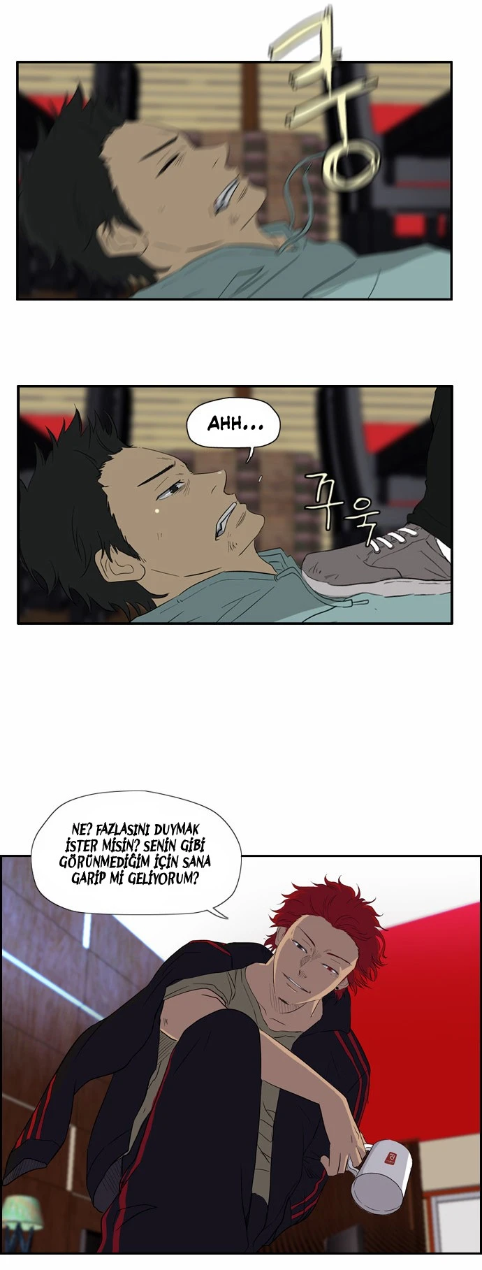 Read Wind Breaker TR Manga Online