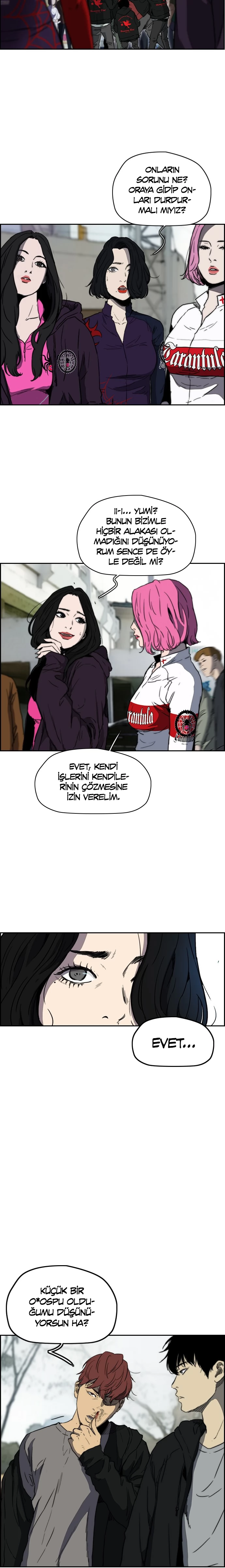 Read Wind Breaker TR Manga Online